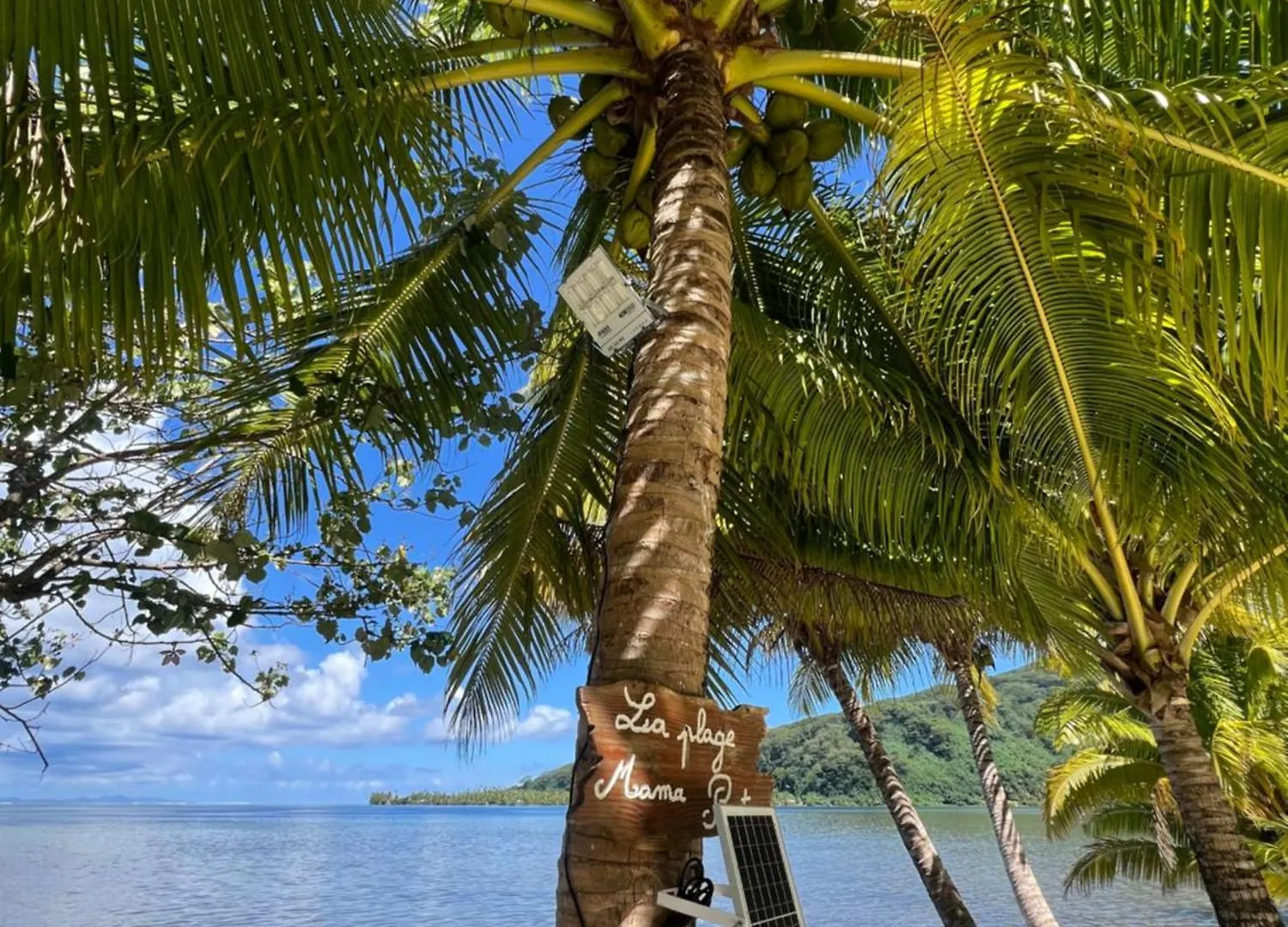 Villa Fare Mama Rota - Au Bord De L'Ocean Taputapuapea 0*,